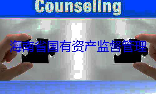 资产监督管委副书记王理委员会党有福接受审查调查海南省国有